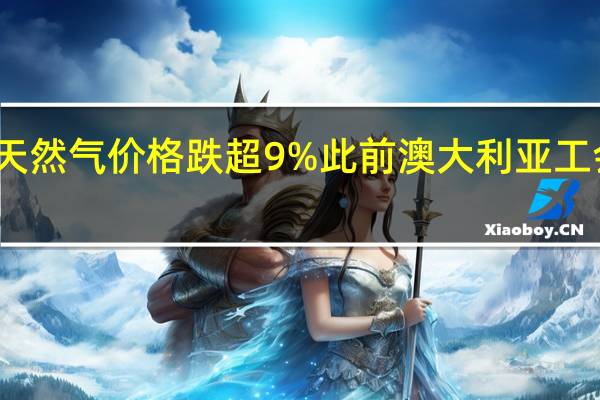 欧洲基准天然气价格跌超9%此前澳大利亚工会称罢工将暂停