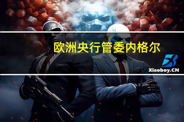 欧洲央行管委内格尔：欧元区通胀率下降速度不符合预期