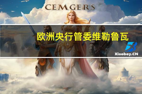 欧洲央行管委维勒鲁瓦：欧洲央行的政策现在以耐心和信心为指导