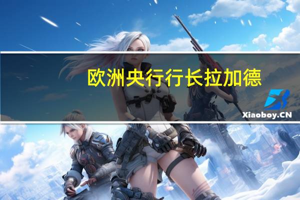 欧洲央行行长拉加德：将讨论紧急抗疫购债计划（PEPP）再投资的问题