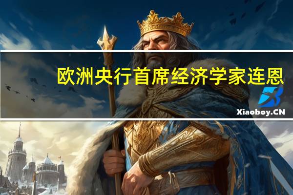 欧洲央行首席经济学家连恩：欧洲央行尚未达到通胀目标 还有更多工作要做