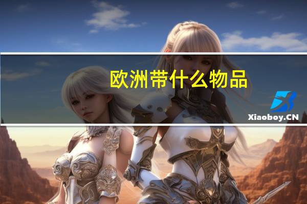 欧洲带什么物品