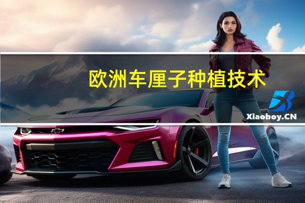 欧洲车厘子种植技术