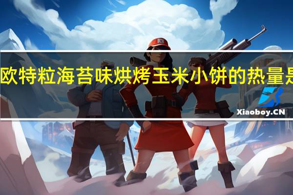 欧特粒 海苔味烘烤玉米小饼的热量是多少