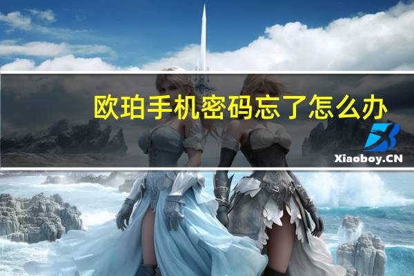 欧珀手机密码忘了怎么办（op手机密码忘了怎么解锁）