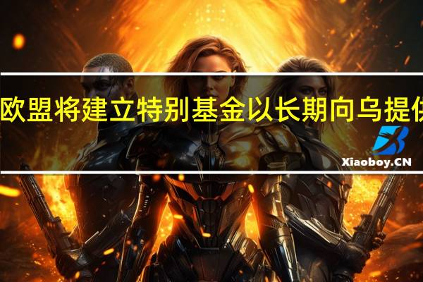 欧盟将建立特别基金以长期向乌提供军备