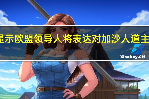 欧盟峰会最终草案显示欧盟领导人将表达对加沙人道主义局势恶化的最严重关切