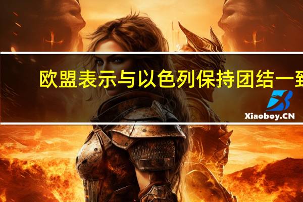 欧盟表示与以色列保持团结一致