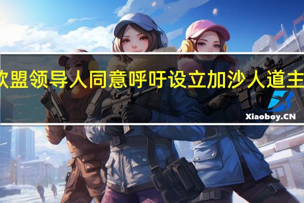 欧盟领导人同意呼吁设立加沙人道主义走廊