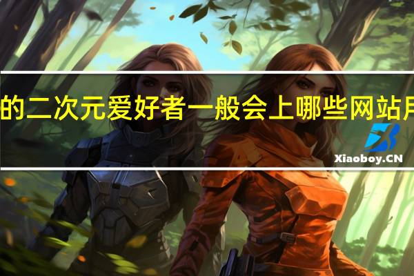 欧美的二次元爱好者一般会上哪些网站用哪些 APP