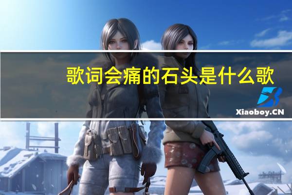 歌词会痛的石头是什么歌（会痛的石头歌词）