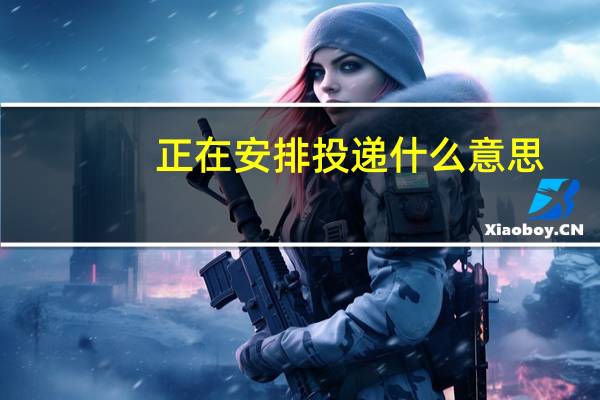 正在安排投递什么意思