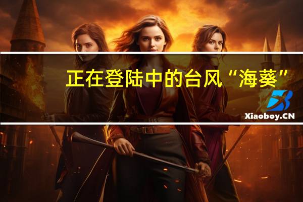 正在登陆中的台风“海葵”（中央气象台）