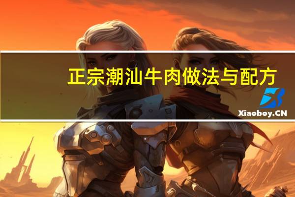 正宗潮汕牛肉做法与配方