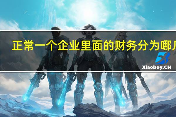 正常一个企业里面的财务分为哪几种，各自的职责又分别是什么