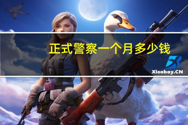 正式警察一个月多少钱