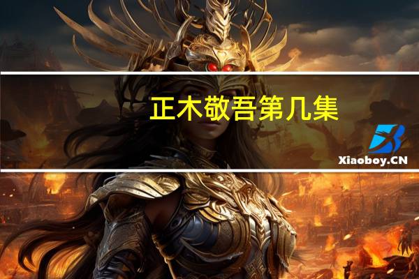 正木敬吾第几集（正木敬吾）