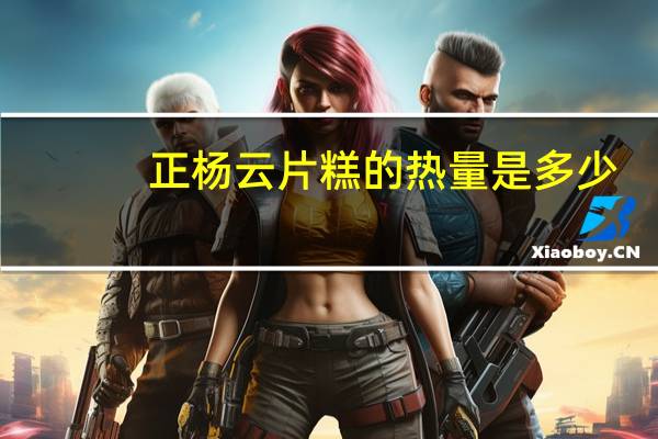 正杨云片糕的热量是多少