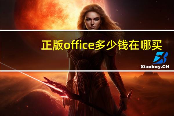 正版office多少钱在哪买（正版office多少钱）