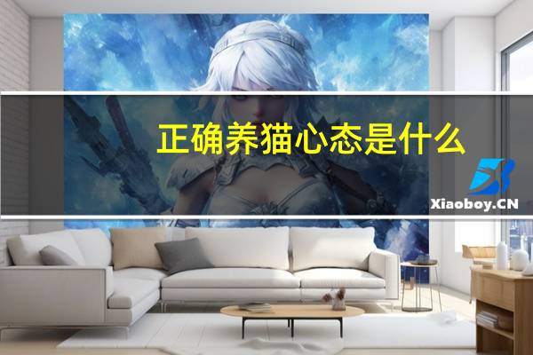 正确养猫心态是什么