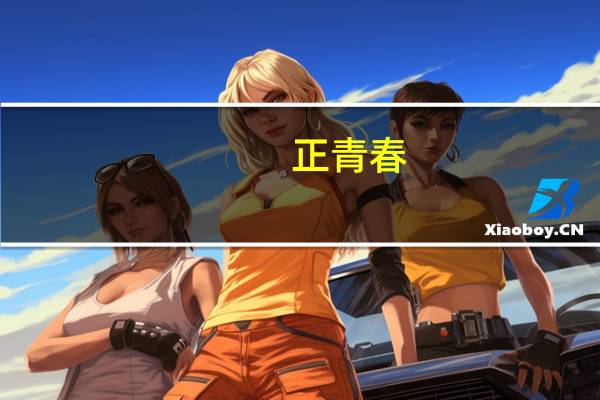 正青春(关于正青春的介绍)
