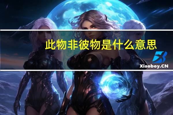 此物非彼物是什么意思