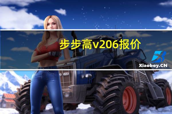 步步高v206报价（步步高v2）