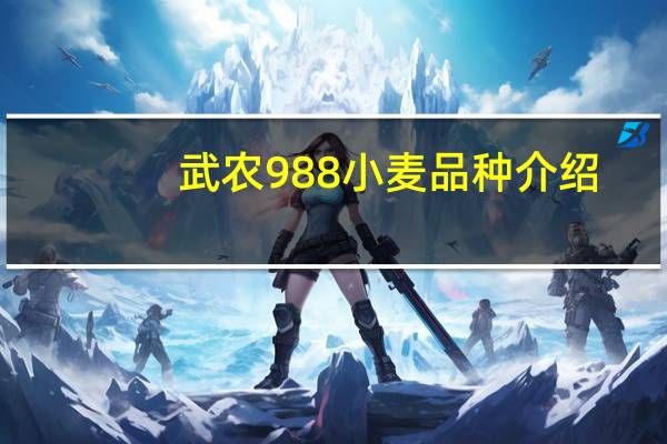 武农988小麦品种介绍：其特点是什么？