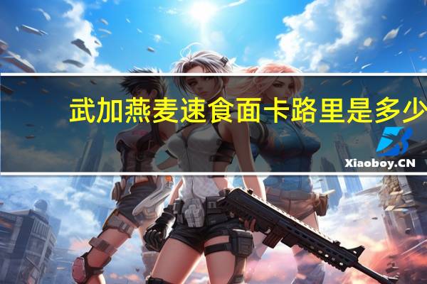 武加 燕麦速食面卡路里是多少