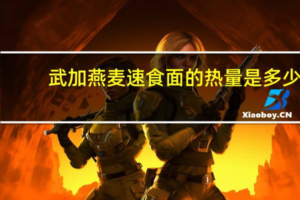 武加 燕麦速食面的热量是多少