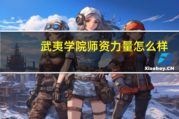 武夷学院师资力量怎么样