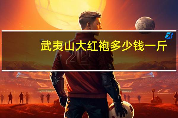 武夷山大红袍多少钱一斤（庆余年大红袍）