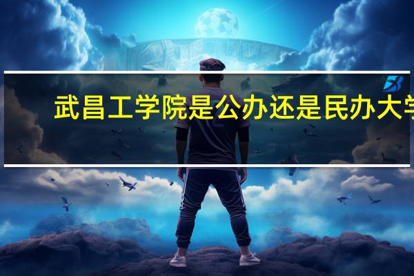 武昌工学院是公办还是民办大学