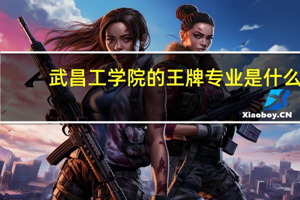 武昌工学院的王牌专业是什么