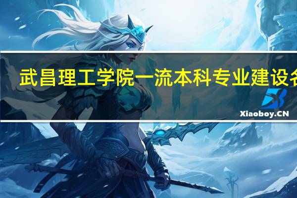 武昌理工学院一流本科专业建设名单
