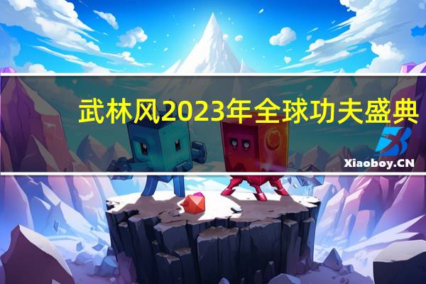 武林风2023年全球功夫盛典（武林风阳阳）