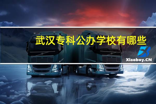 武汉专科公办学校有哪些