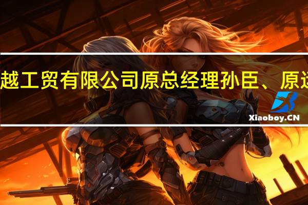 武汉东风电动创越工贸有限公司原总经理孙臣、原运管部负责人李晖被查