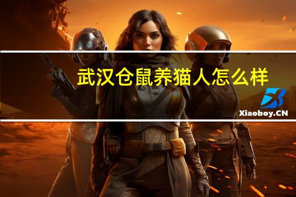 武汉仓鼠养猫人怎么样