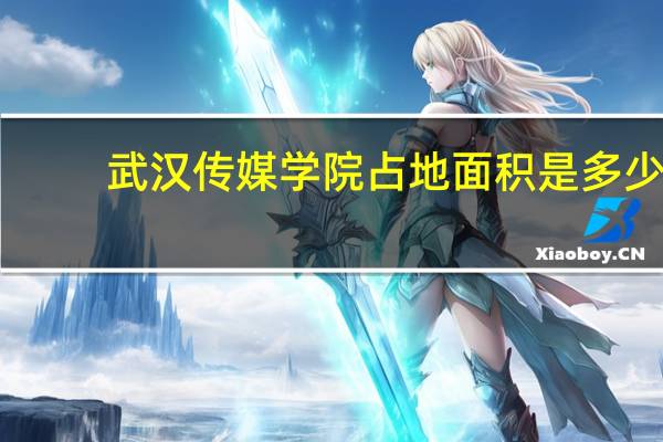 武汉传媒学院占地面积是多少