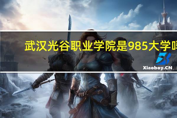 武汉光谷职业学院是985大学吗
