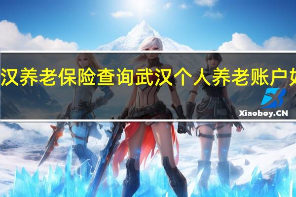 武汉养老保险查询 武汉个人养老账户如何查询