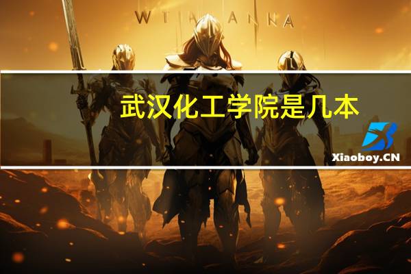 武汉化工学院是几本