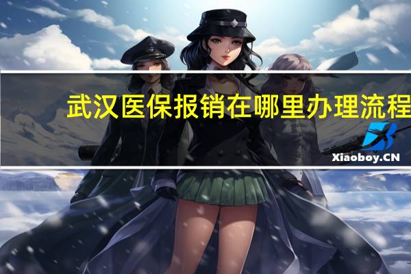 武汉医保报销在哪里办理流程