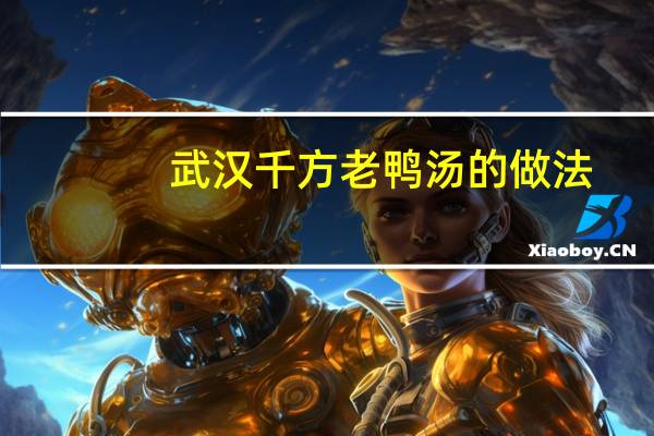 武汉千方老鸭汤的做法