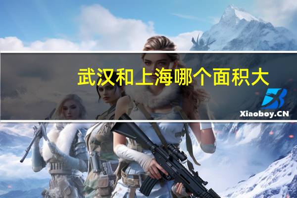 武汉和上海哪个面积大