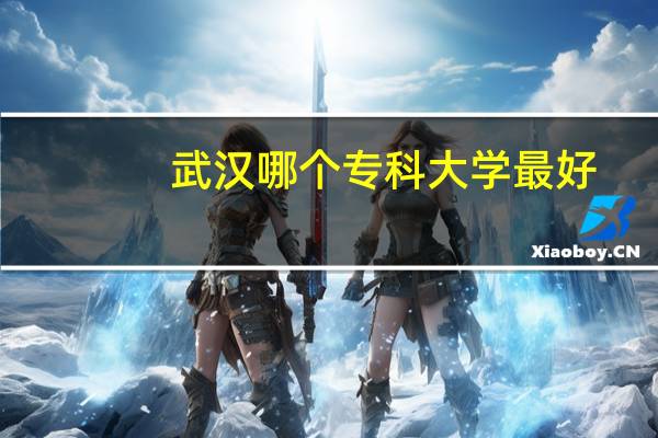武汉哪个专科大学最好