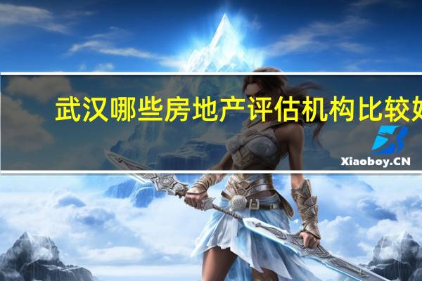 武汉哪些房地产评估机构比较好