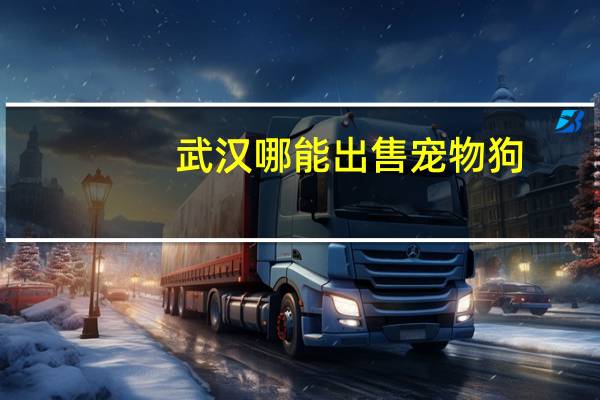 武汉哪能出售宠物狗