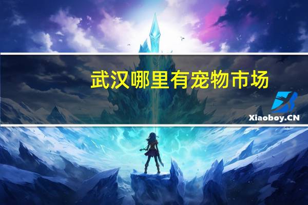 武汉哪里有宠物市场